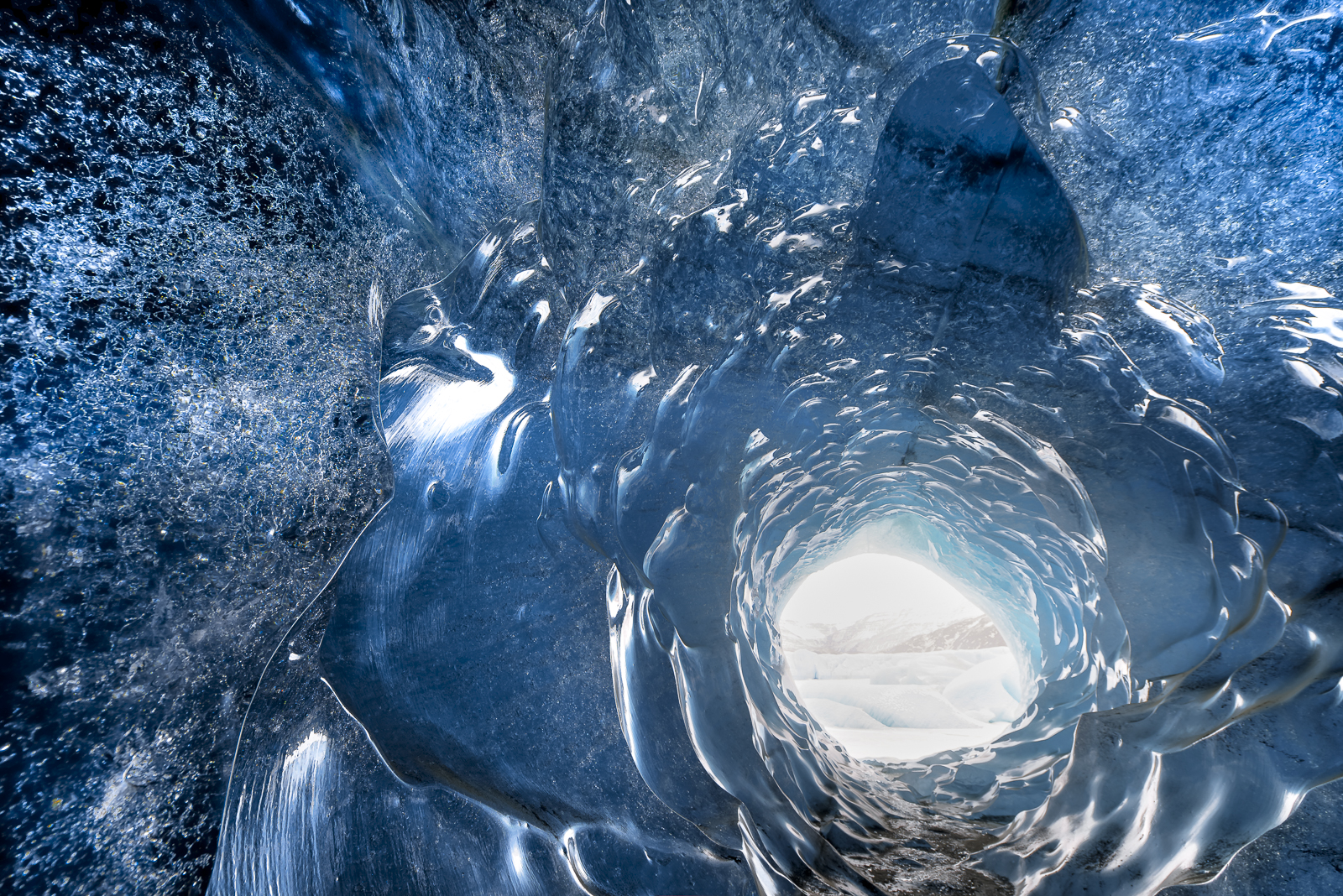 Exhibition opening: Ripples: Shifting Realities in the Arctic | The ...