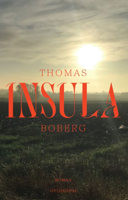 cover of the book Insula. Red letters on a background of a sunset background