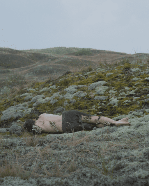 Screenshot from a vidework by Eglė Budvytytė. "Songs from the Compost"