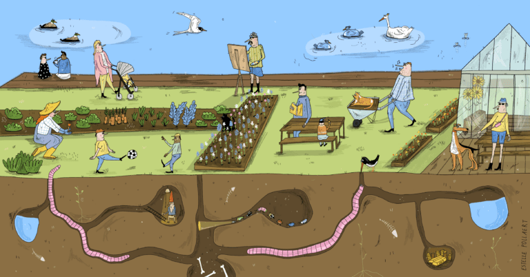 illustration of people walking on grass and the soil underneath them. Creatures in the soil. Illustrated by Estelle Pollaert
